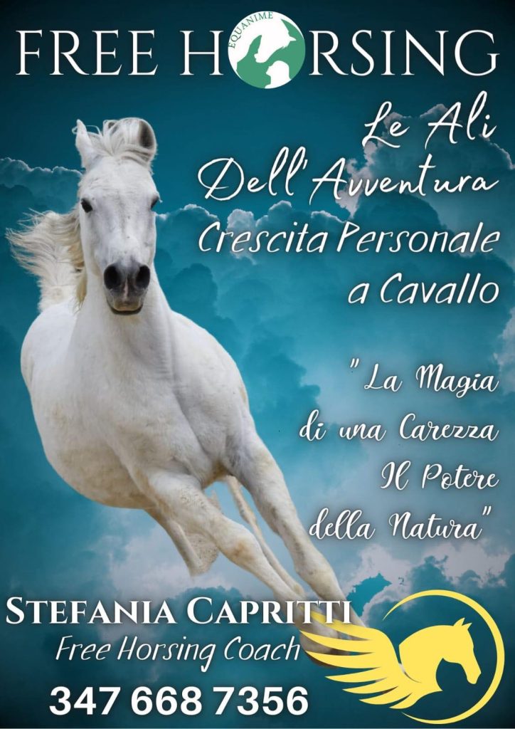 Free Horsing in Abruzzo e attività con i pony per i bambini