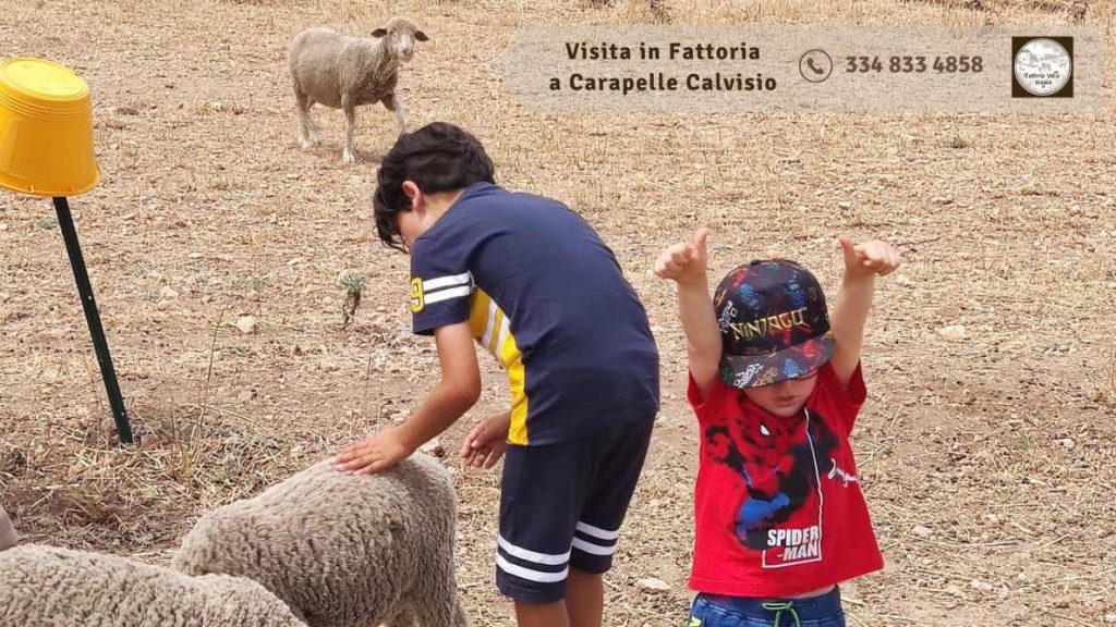 Visita in Fattoria a Carapelle Calvisio
