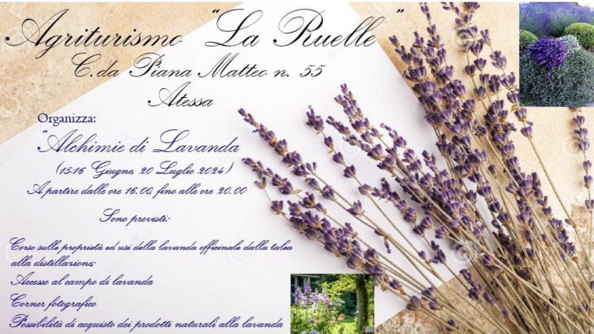 Corso sulle proprietà della lavanda ad Atessa con accesso al campo e foto