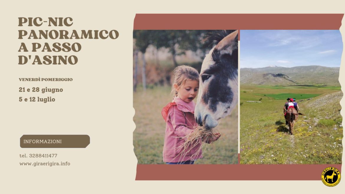 Escursioni con gli asini con picnic a Santo Stefano di Sessanio