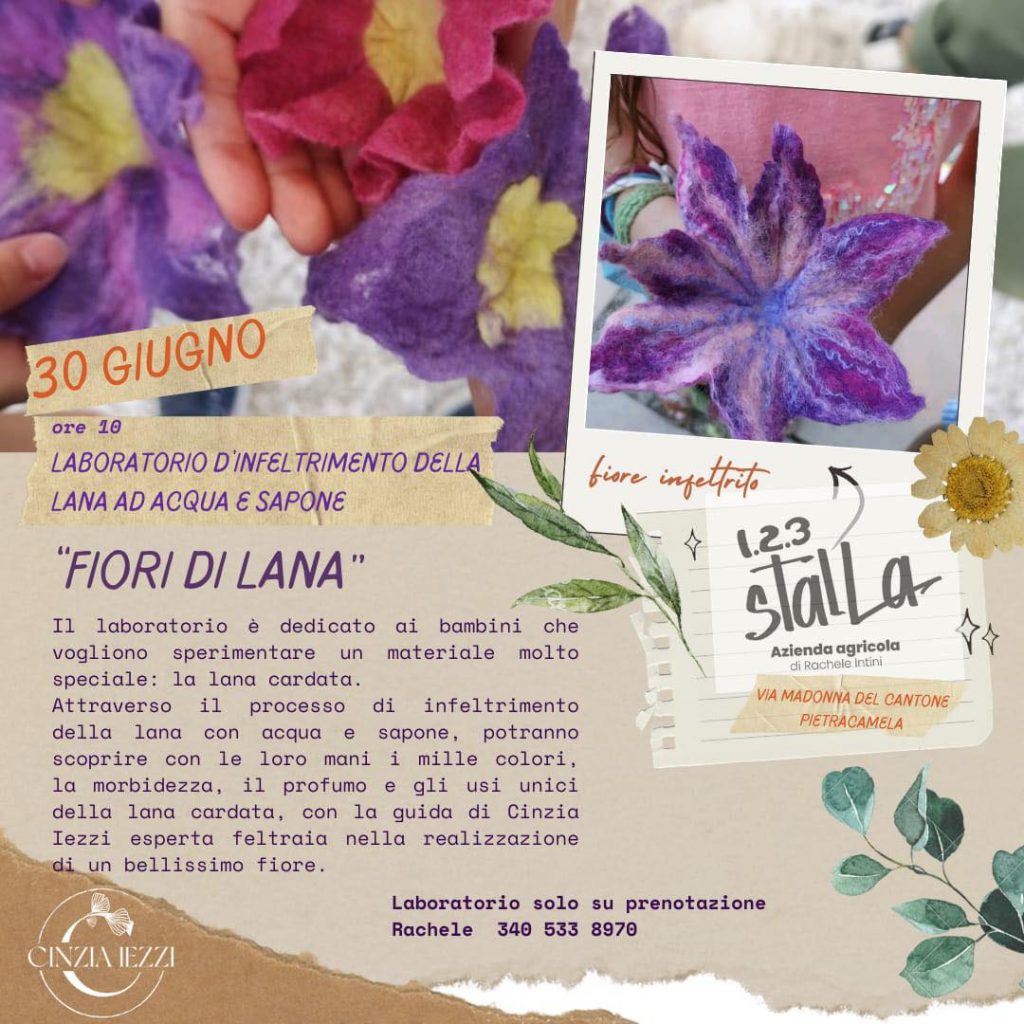 Laboratorio d'infeltrimento della lana a Pietracamela in fattoria
