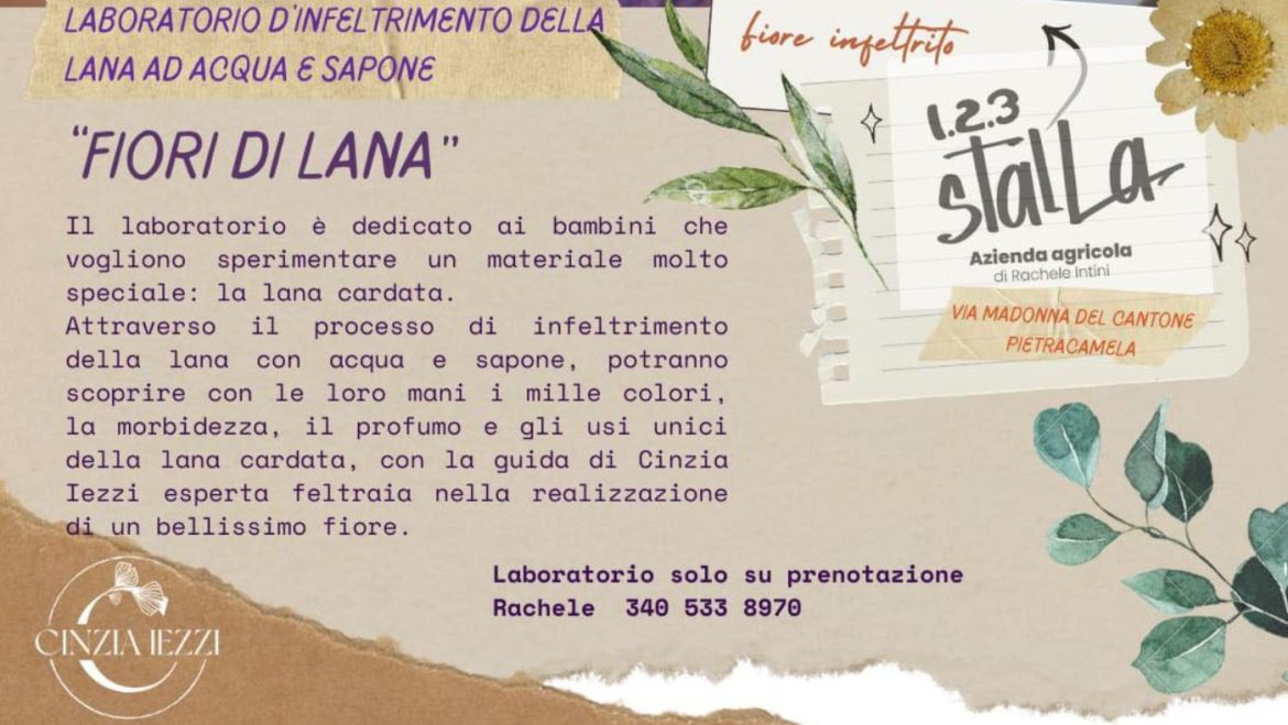 Laboratorio d’infeltrimento della lana cardata a Pietracamela