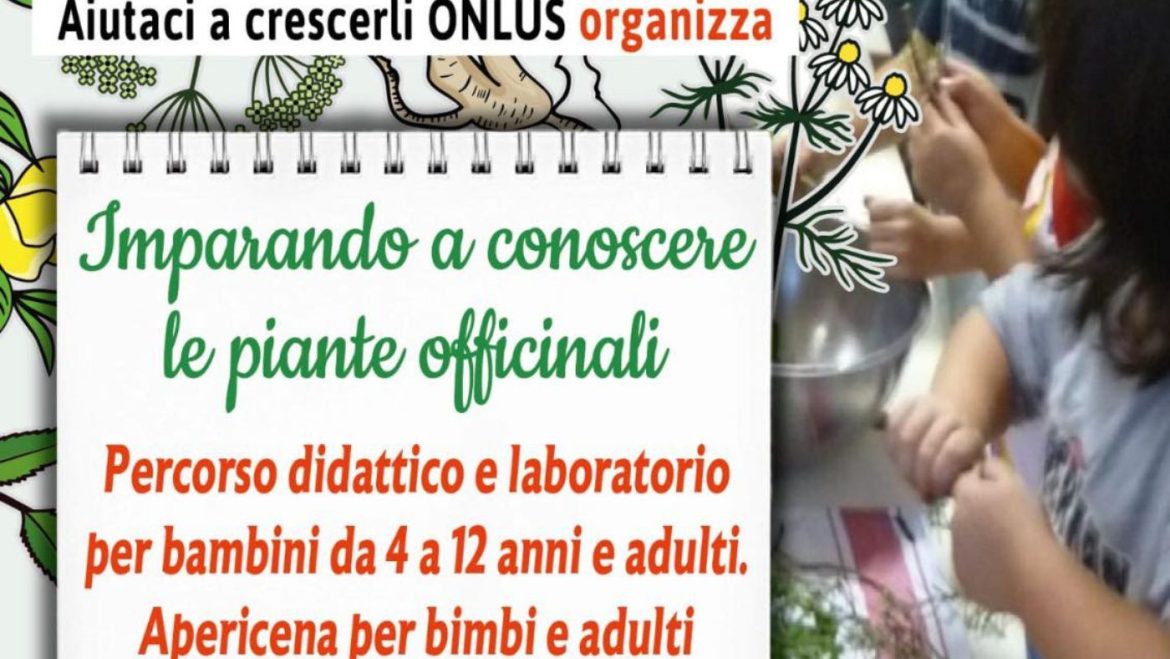 Percorso didattico e laboratorio per riconoscere le erbe officinali a Morro d’Oro
