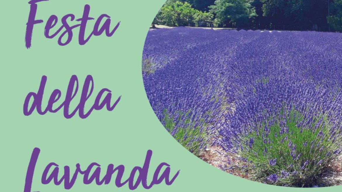 Festa della Lavanda a Catignano visite, laboratori, dimostrazioni e degustazioni