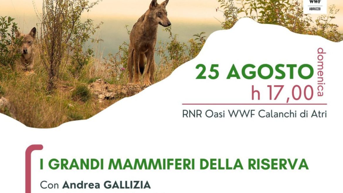 I grandi mammiferi della Riserva ad Atri nell’Oasi WWF con aperitivo finale