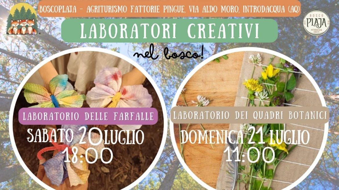 Laboratori creativi da Bosco Plaja a Introdacqua farfalle e quadri botanici