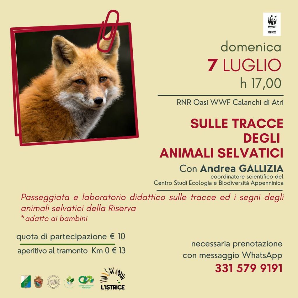 Sulle tracce degli animali selvatici nell'Oasi WWF di Atri