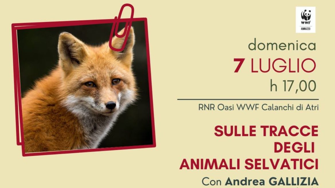 Sulle tracce degli animali selvatici ad Atri nell’Oasi WWF con aperitivo finale