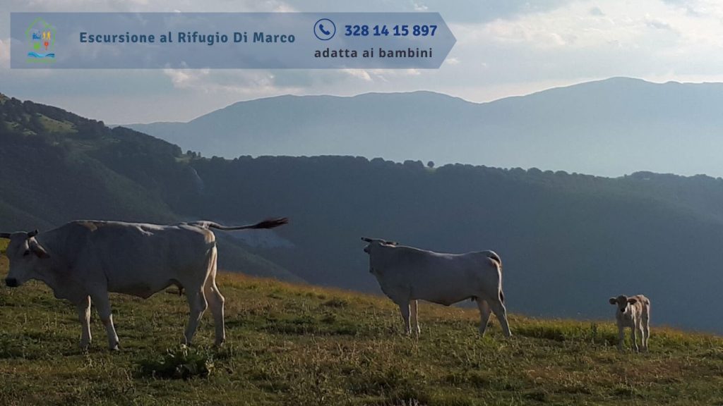 Escursione al Rifugio Di Marco