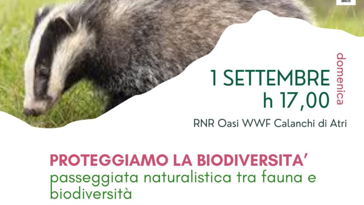 Passeggiata naturalistica in Riserva ad Atri con aperitivo finale