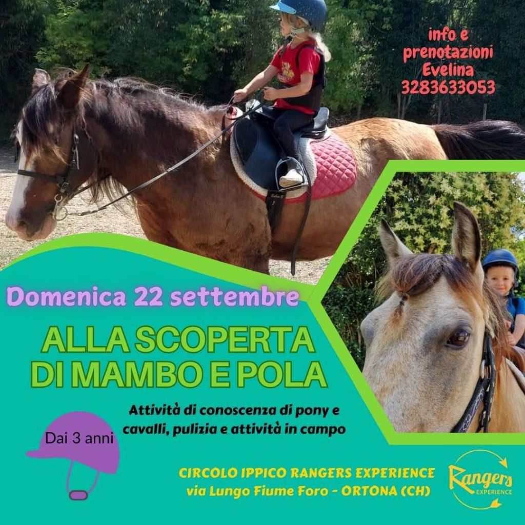 Avvicinamento di pony e cavalli a Ortona da Circolo Ippico Rangers Experience
