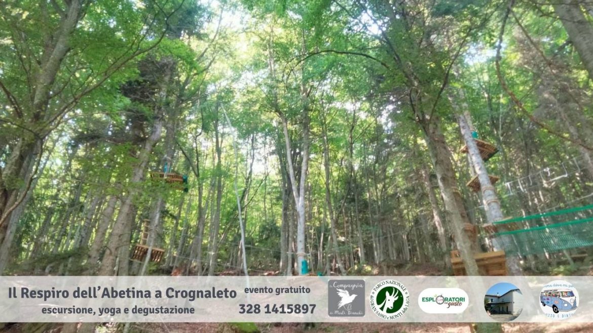 Escursione e yoga con degustazione a Crognaleto evento gratuito