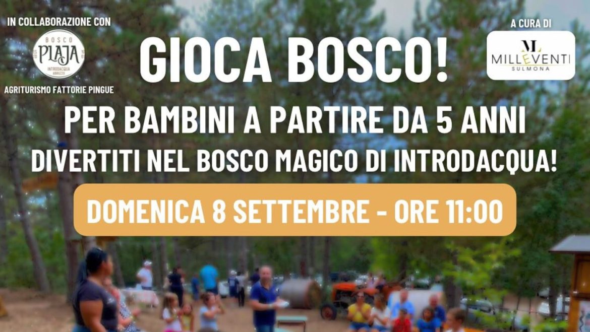 Gioca Bosco a Introdacqua da Bosco Plaja animazione e giochi