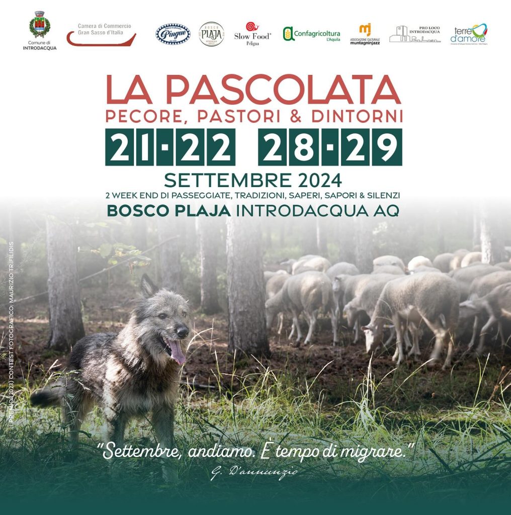 La Pascolata a Introdacqua pecore, pastori e dintorni