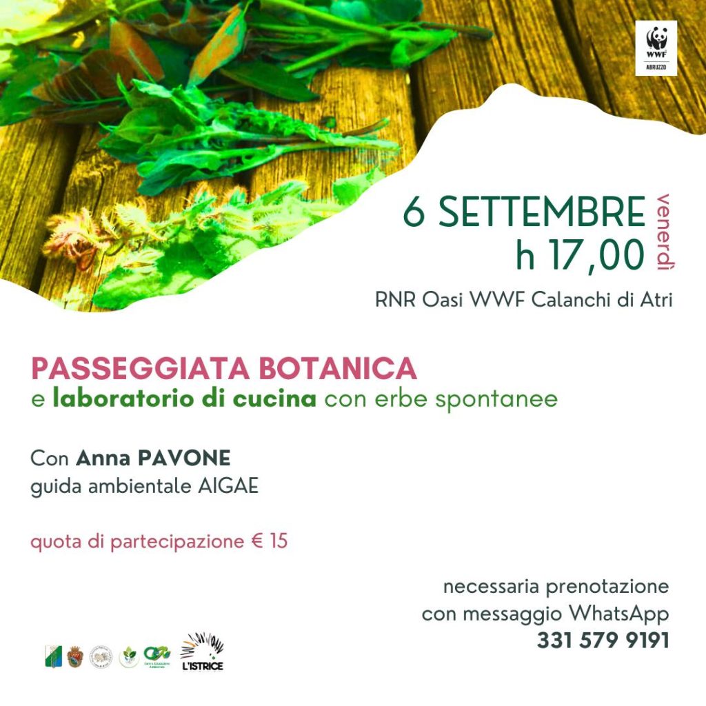 Passeggiata botanica e laboratorio di cucina erbe spontanee ad Atri in Riserva