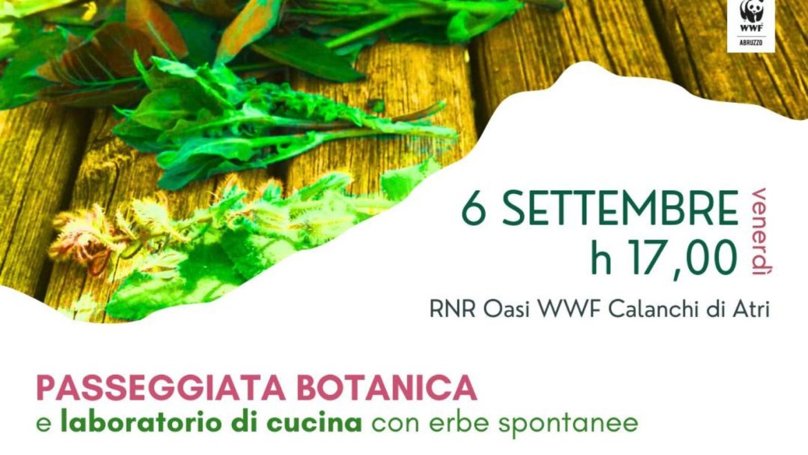 Passeggiata botanica e laboratorio di cucina erbe spontanee ad Atri in Riserva