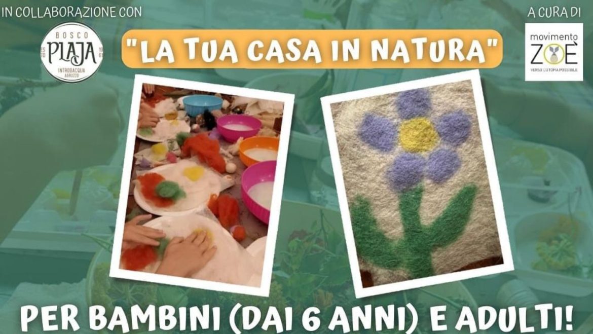Laboratorio di lavorazione del feltro a Introdacqua da Bosco Plaja