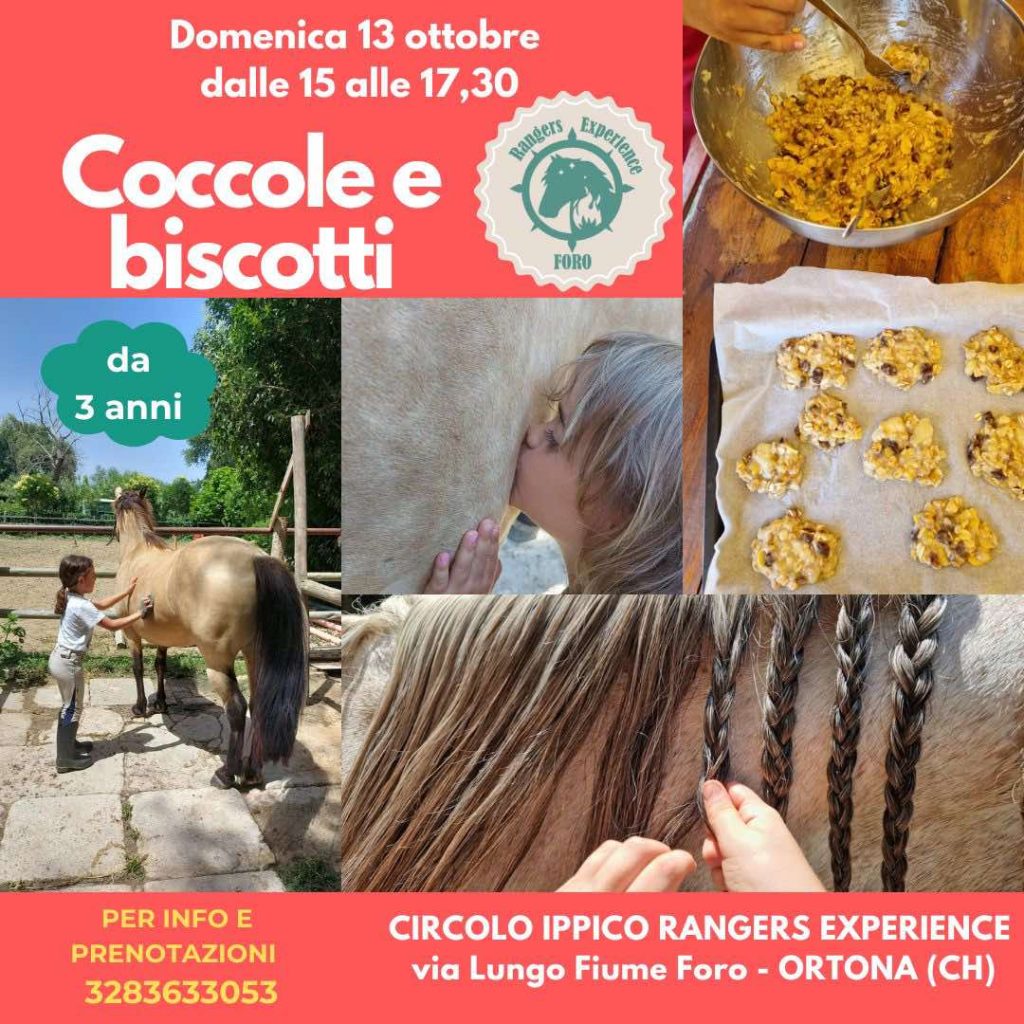 Coccole e biscotti a Ortona con i cavalli di Circolo Ippico Rangers Experience