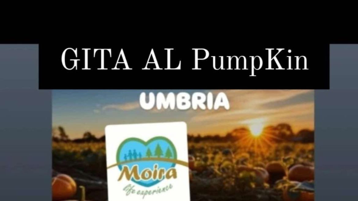 Gita al Pumpkin Umbria a Baiano il parco tematico dedicato al mondo della zucca