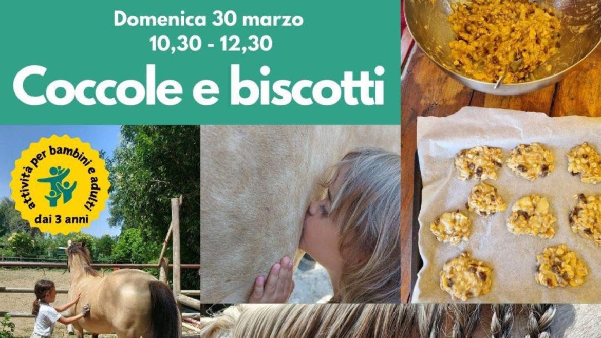 Coccole e biscotti a Ortona con i cavalli di Circolo Ippico Rangers Experience