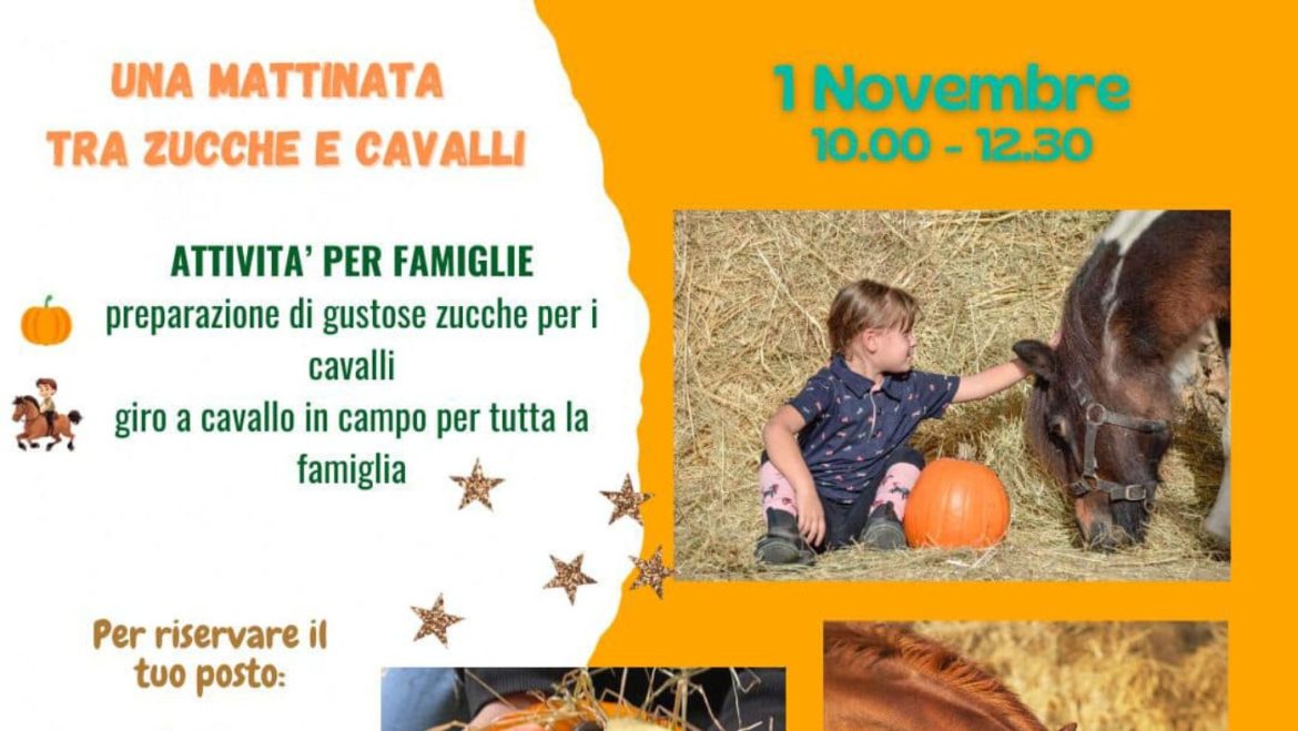 Una mattinata tra zucche e cavalli 2024 a Ortona al maneggio