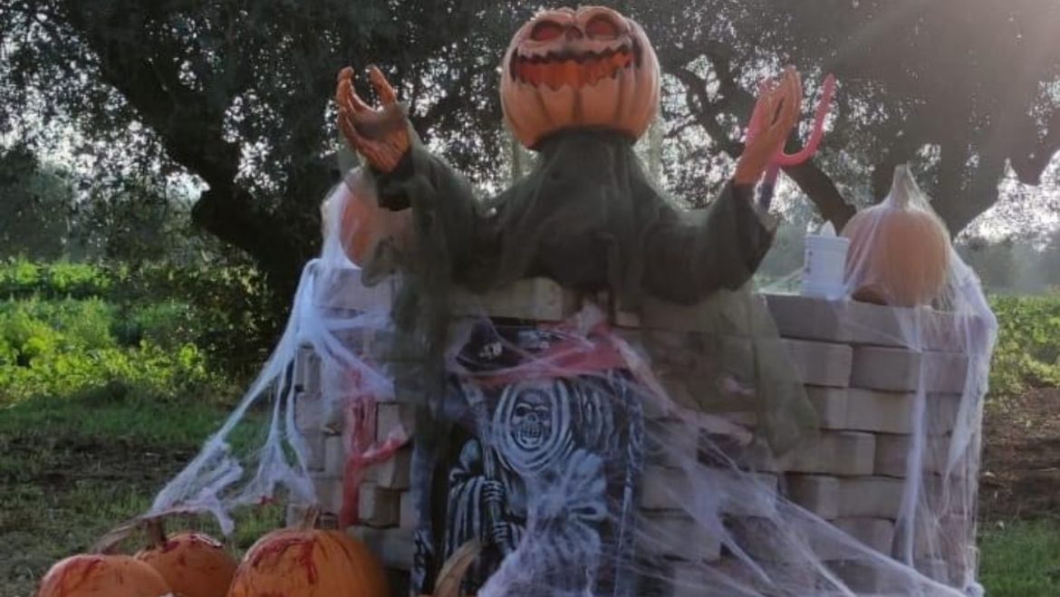 Halloween a Roseto degli Abruzzi da La Casa Illuminata 