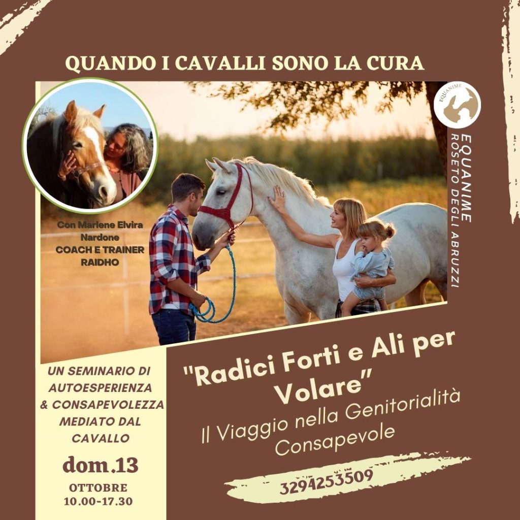 Seminario esperienziale a Roseto degli Abruzzi di Equanime