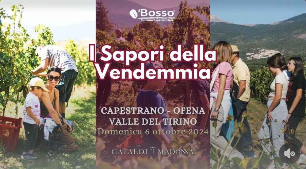 Vendemmia per bambini e adulti a Capestrano di Il Bosso