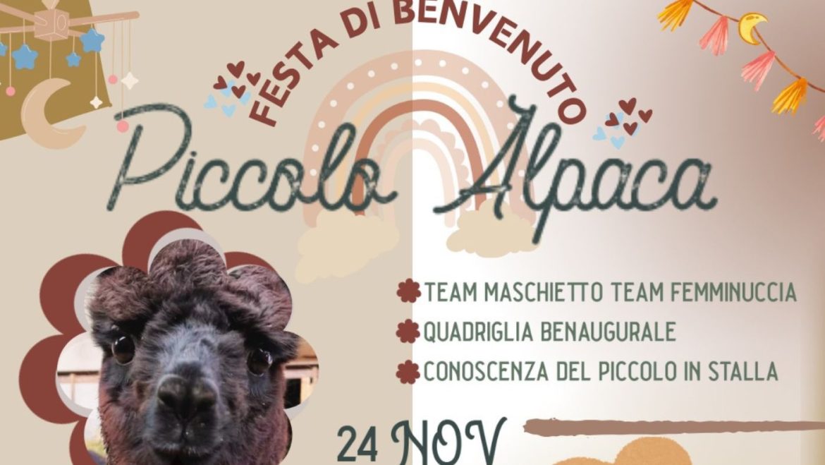 Festa di benvenuto al piccolo Alpaca a Serramonacesca da Colle Rosa