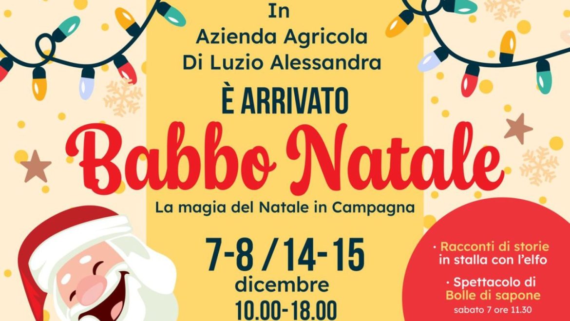 La Magia del Natale in campagna a Collecorvino di Azienda Agricola Di Luzio