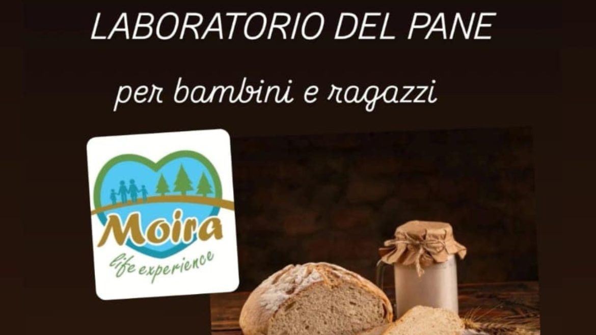 Laboratorio del pane a Lanciano da Agriturismo Caniloro