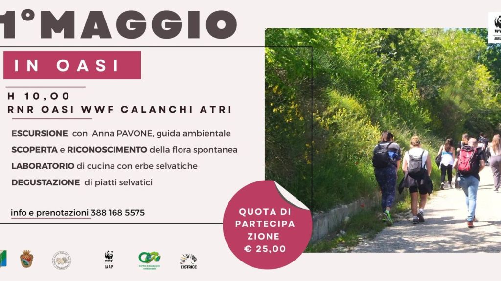 1 maggio in Oasi WWF ad Atri escursione, erbe, laboratorio e degustazione