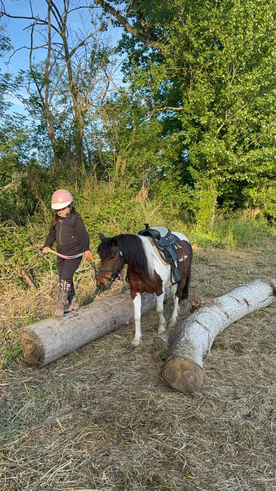 Percorso Pony Adventure Park Bellante
