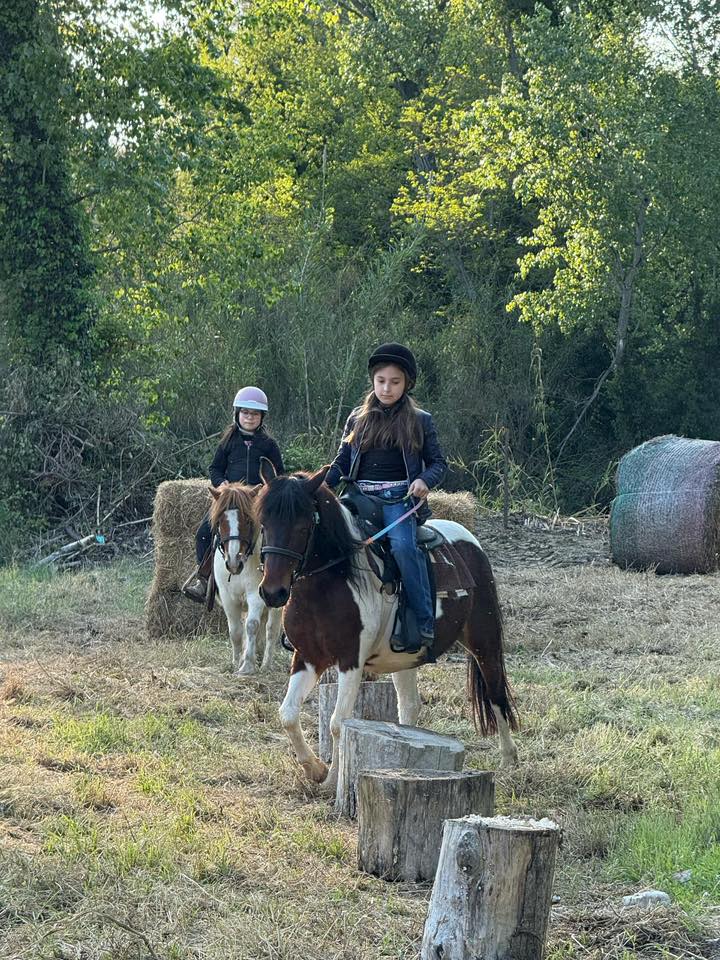 Percorso Pony Adventure Park