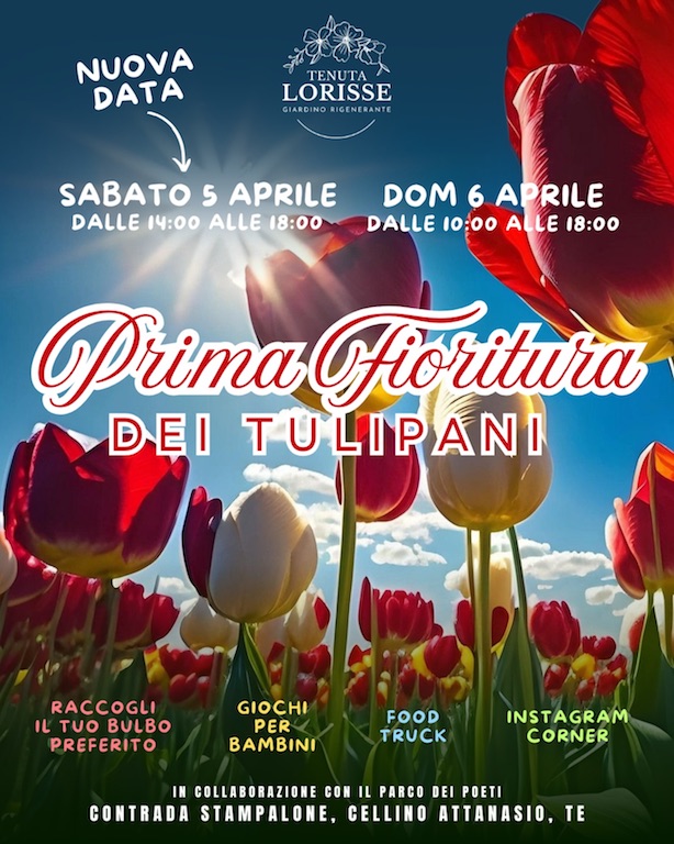 Prima Fioritura dei Tulipani a Cellino Attanasio