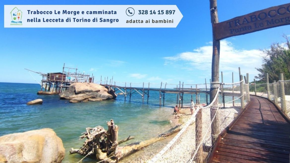 Visita guidata al Trabocco Le Morge e camminata nella Lecceta di Torino di Sangro