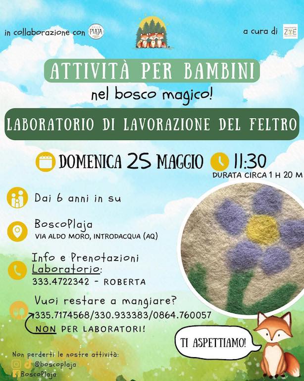 Laboratorio del feltro a Introdacqua