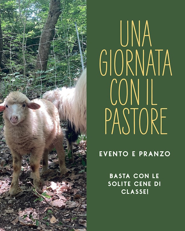 Una giornata con il pastore a Roccamorice per il pranzo di fine anno scolastico in provincia di Pescara