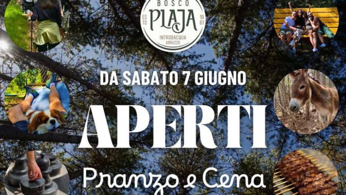 Bosco Plaja da giugno aperto tutti i giorni a pranzo e cena e la domenica i laboratori