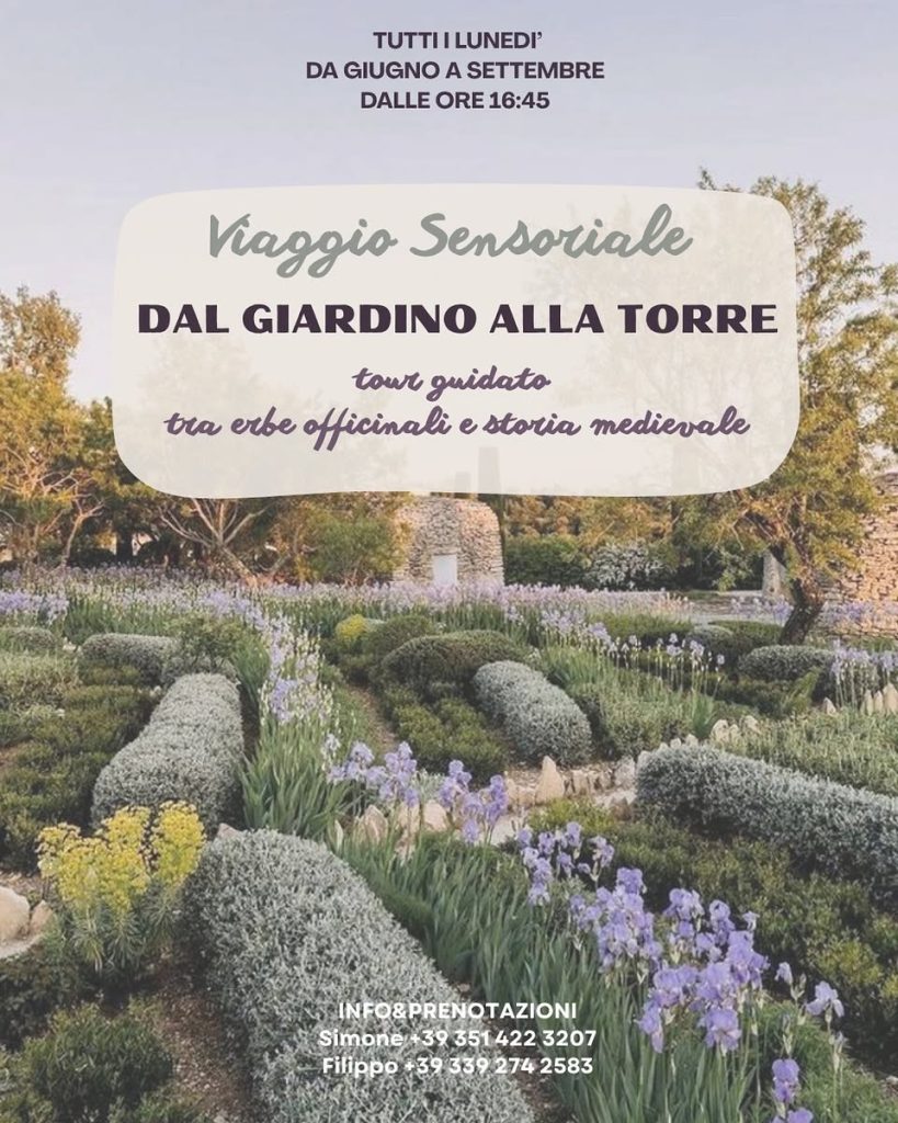 Dal Giardino alla Torre- visita e degustazione alla Torre e al Giardino Officinale a Montegualtieri e Morro d'Oro