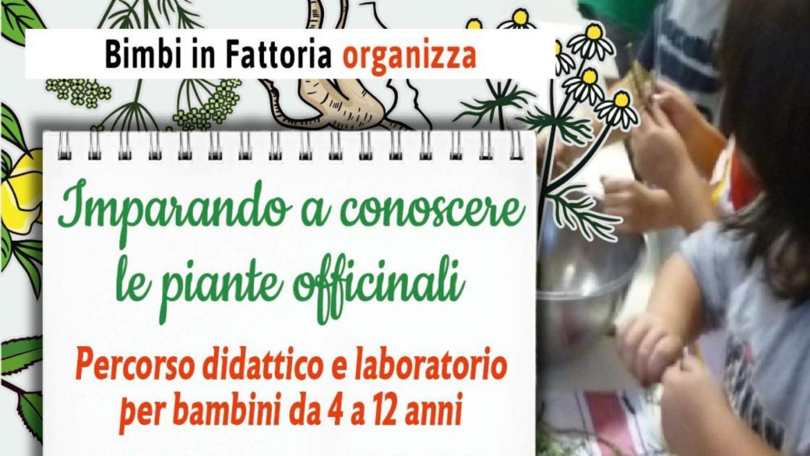 Percorso didattico e laboratorio per riconoscere le erbe officinali a Morro d’Oro