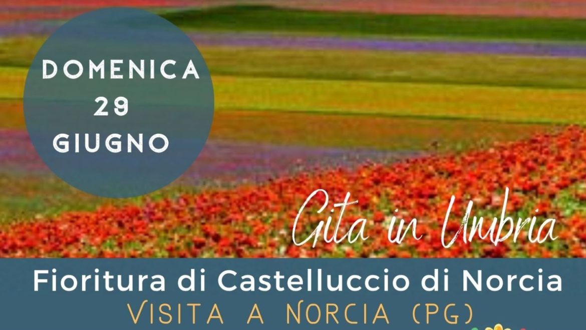 Fioritura di Castelluccio e Norcia Gita in pullman in Umbria