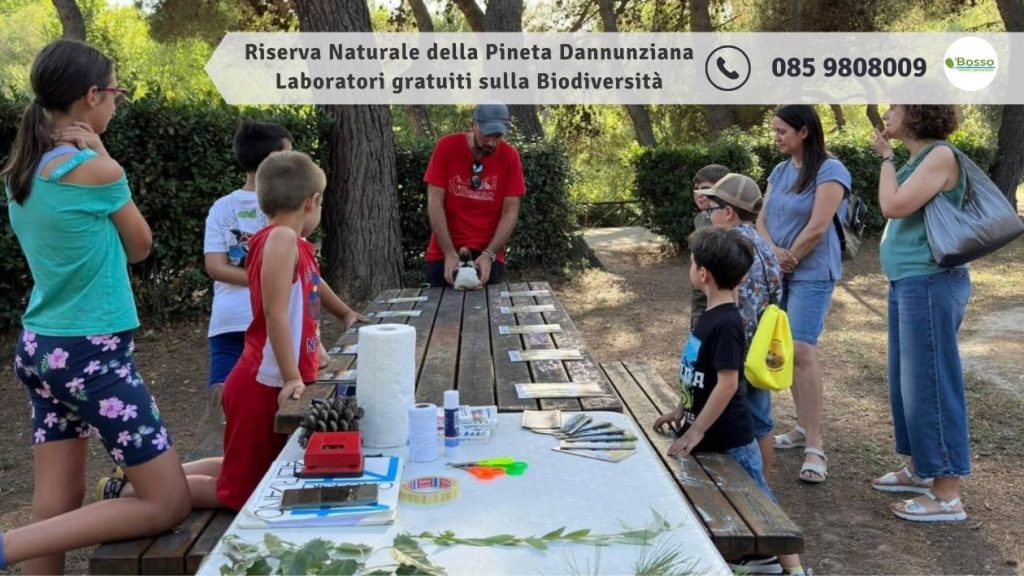 Riserva Naturale della Pineta Dannunziana laboratori gratuiti sulla Biodiversità