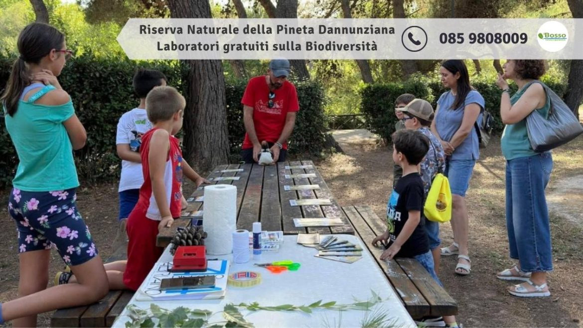Riserva Naturale della Pineta Dannunziana laboratori gratuiti sulla Biodiversità