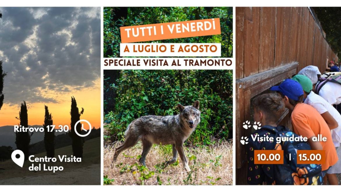 Visite al tramonto al Centro Visita del Lupo a Popoli a luglio e agosto