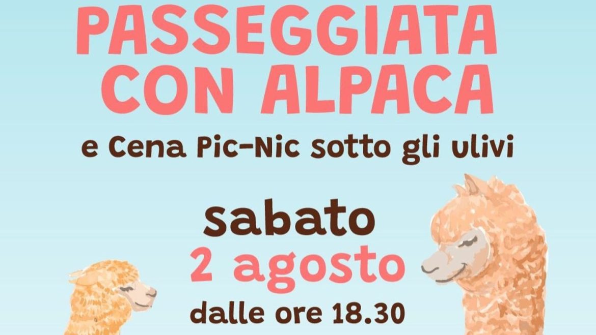 Passeggiata con gli Alpaca e Cena Picnic sotto gli ulivi a Collecorvino