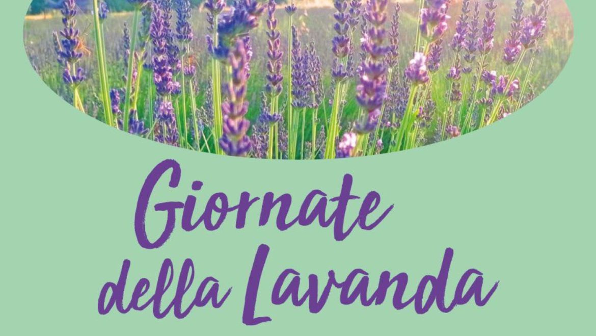 Giornate della Lavanda a Catignano visite, laboratori, dimostrazioni e degustazioni