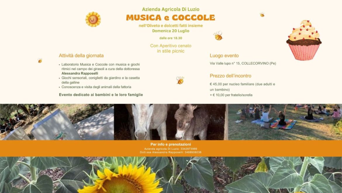 Musica e Coccole al tramonto nel campo di girasoli a Collecorvino con aperitivo cenato 