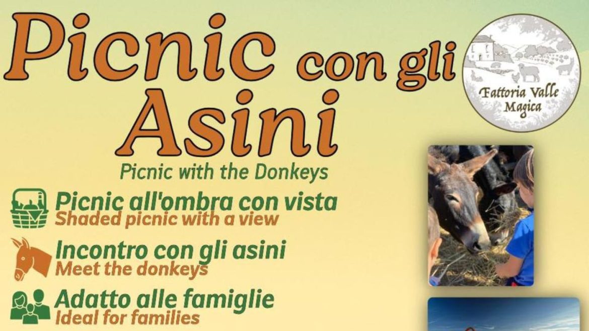 Passeggiata e picnic con gli asini in fattoria a Carapelle Calvisio