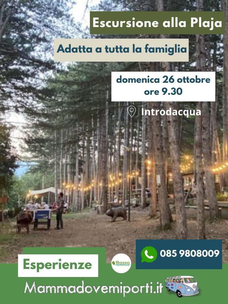 Escursione per bambini nel bosco di Monte Plaja a Introdacqua con degustazione